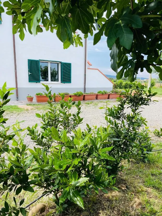 Appartamenti Podere San Sebastiano Castiglione della Pescaia 0*,