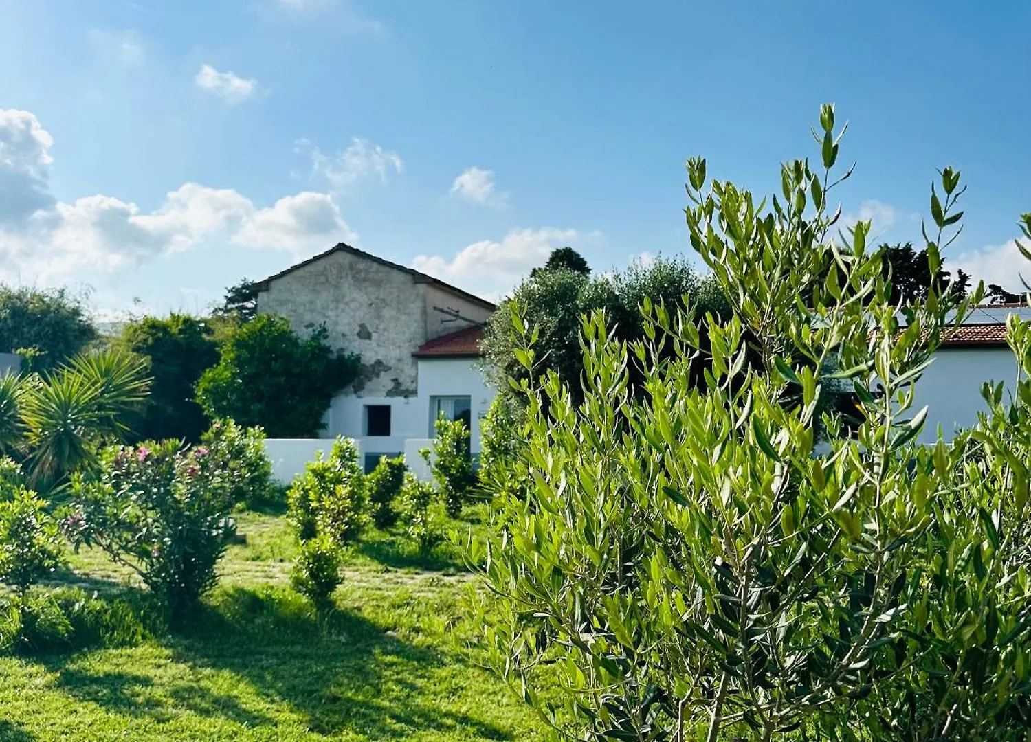 Appartamenti Podere San Sebastiano Castiglione della Pescaia 0*,