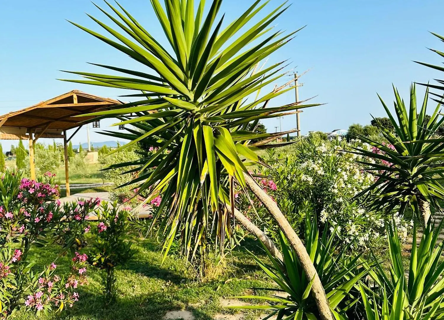 Appartamenti Podere San Sebastiano Castiglione della Pescaia Apartment